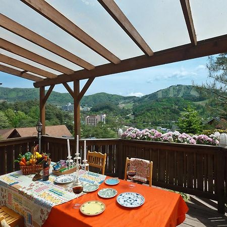 Violin Pension Hoengsong エクステリア 写真