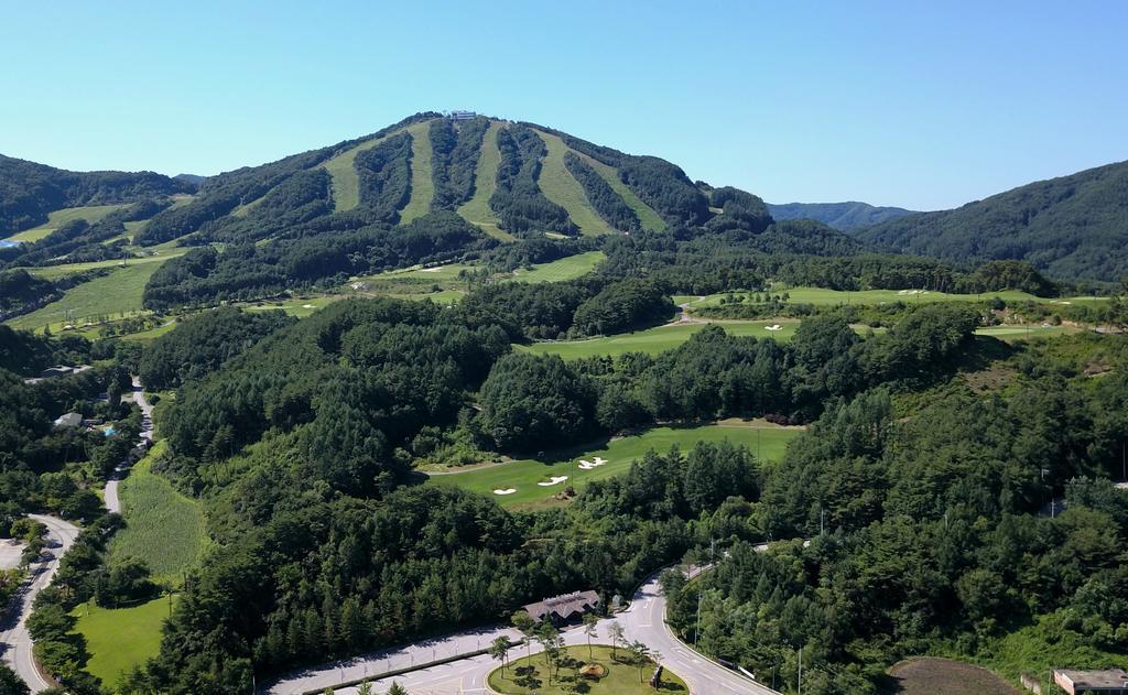 Violin Pension Hoengsong エクステリア 写真