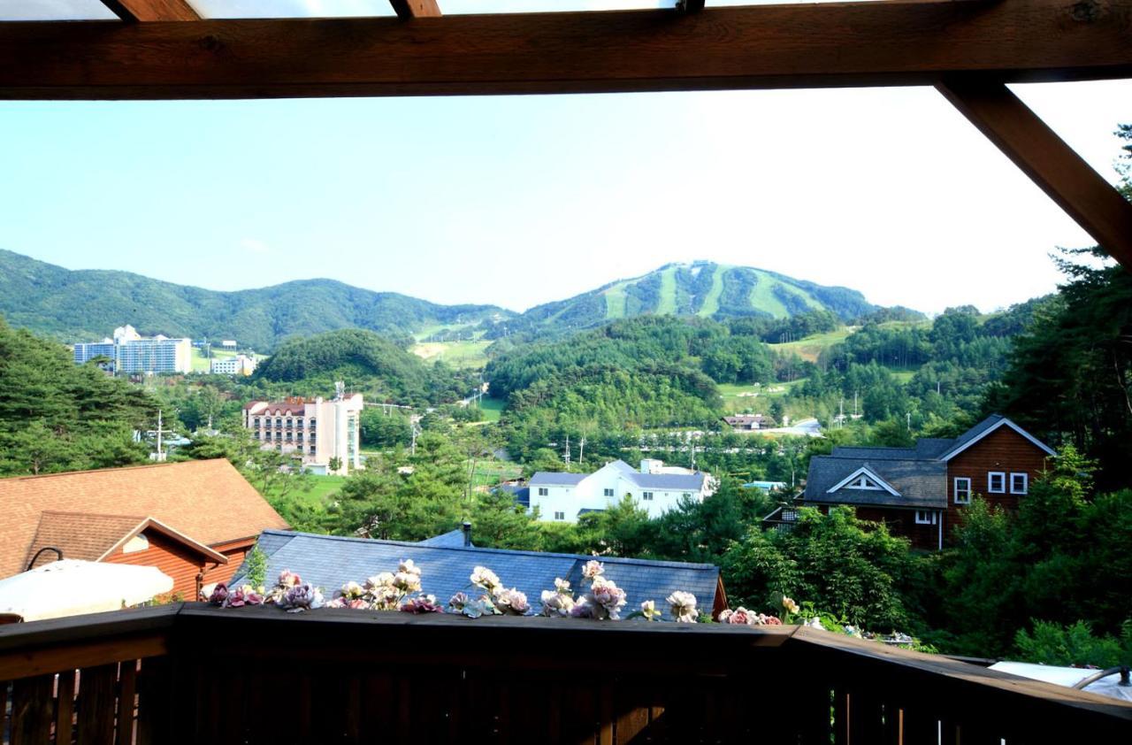 Violin Pension Hoengsong エクステリア 写真
